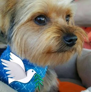 Meet your Posher, Denise